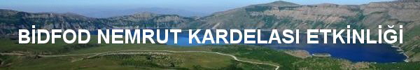 Bidfod_Banner600x100txt